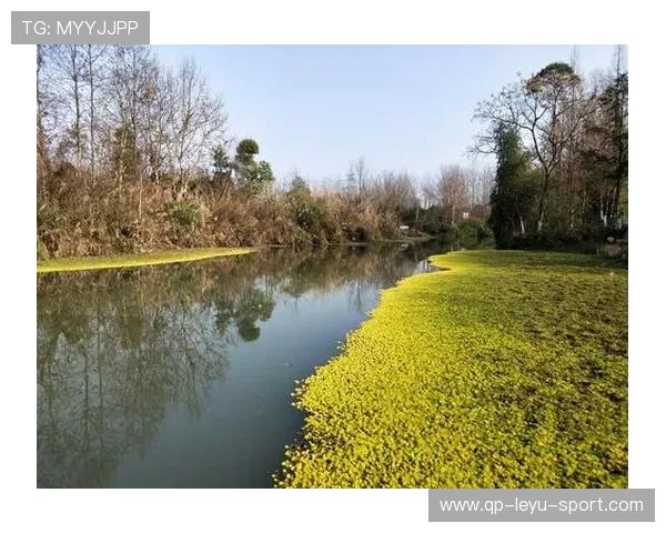 _湿地赛场：别样风景中的激烈角逐_，2020湿地主题绘画大赛